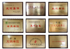 公司榮譽(yù)