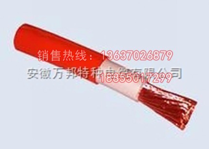 硅橡膠電機引接線JHXG