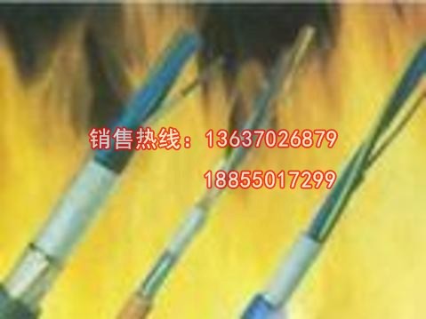 ZR-KFFP2-22 KFFP22ZR-KFFP2-22 KFFP22 耐高溫氟塑料控制電纜