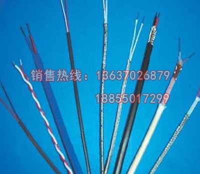 K分度號熱電偶補(bǔ)償導(dǎo)線