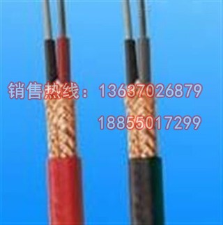 NC NX熱電偶補償導線 
